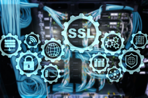 5 sinais de que seu site precisa de um certificado SSL